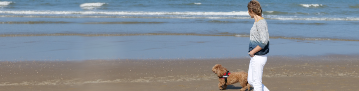 A woman walking her small brown dog along the shore, looking out at the sea
